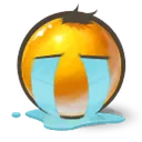 T_T