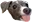 derp