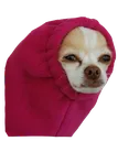 sleeve_dog