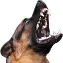 bork