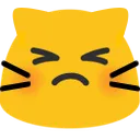 meownotamused