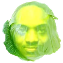lacCabbage