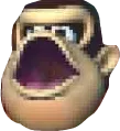 KONG