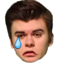 CheeseCry Discord Emoji