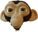 12 12