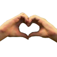 dayHeart