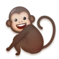 monkey