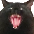 hiss