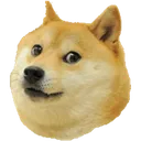 doge