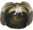 NotLikeSloth
