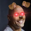 Rock
