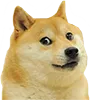doge doge