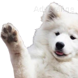 356559345397530625.png