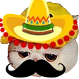 qqDuckInSpanish qqDuckInSpanish