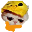 qqThonk