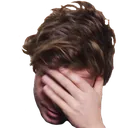 facepalm_cherno facepalm_cherno