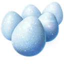 eggs