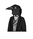 mrcrow