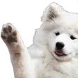 waveBoye waveBoye