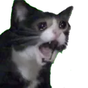 mariaAGH