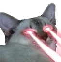 basilfire basilfire