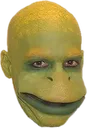 realpepe realpepe