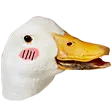 DuxKappa