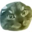 DuxCat Discord Emoji