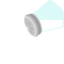 Salt