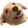 Wowee