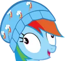 beaniedash