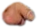fuck