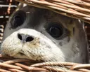 scared