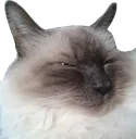 lloydsleepy lloydsleepy