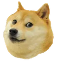 Doge