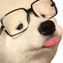 blepdog