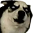 casTrig