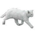 CattingInThe90s
