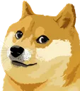 doge doge