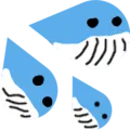AMwhalecum