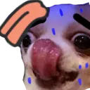 Sweatchi