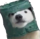 :bucketbear: Discord Emote