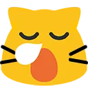 meowtired