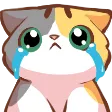 sadcat