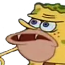 cavebob cavebob