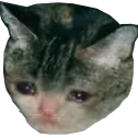 SoSad