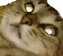 bruh bruh