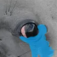 badger2 badger2