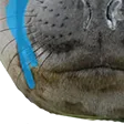 badger3