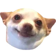 elooHappy